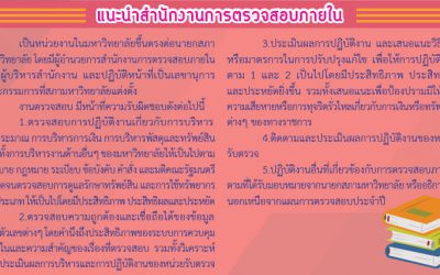 จุลสารตรวจสอบภายในรายไตรมาสปีที่ 1 เล่มที่ 1