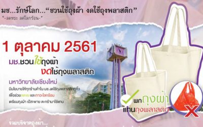 จุลสารตรวจสอบภายในรายไตรมาสปีที่ 2 ฉบับที่ 3